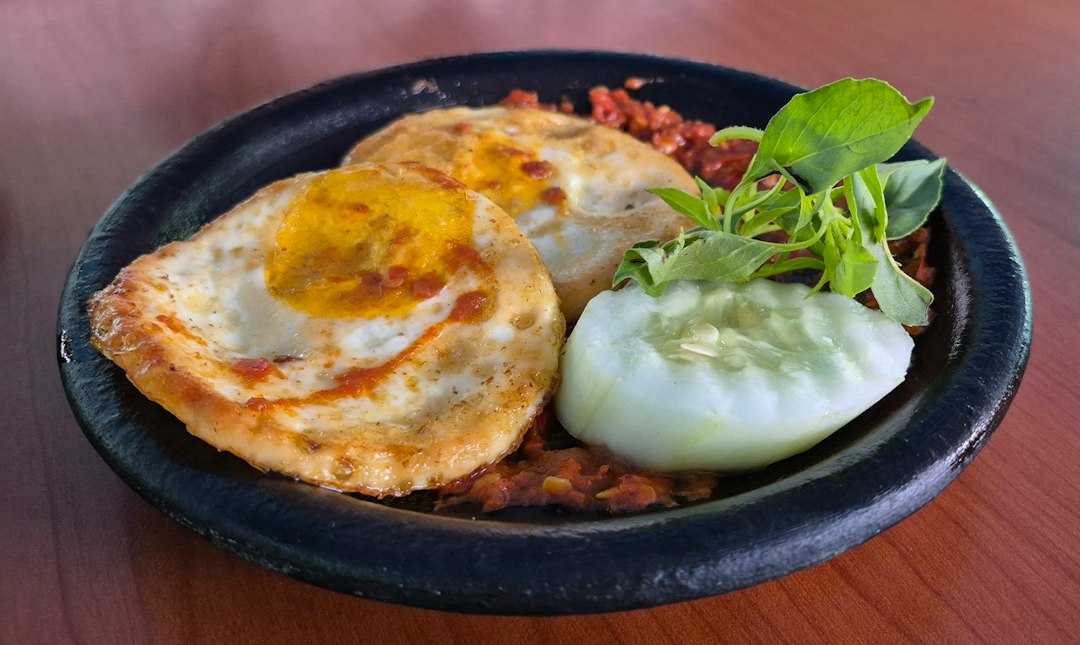 Visual illustration for landak mini mogok makan